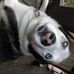 Mark Ybarra - Facebook