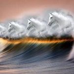 Mark Yeadon - @yeadon.mark - Instagram