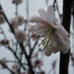 Mark Yeh - @mark_yehyeh - Instagram