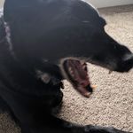 Mark Youngquist - @youngquistmark - Instagram