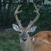 Mark Youngquist - Facebook
