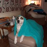 Mark Yule - @mark.yule.96 - Instagram