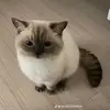 mark zane - @mark.zane - TikTok