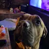 Mark Zarbaugh - @mark.zarbaugh - TikTok