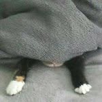 Mark Zickler - @markzickler - Instagram