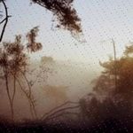 Mark Zink - @gerritsteigerwald325 - Instagram
