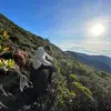 Mark Trazona - @mark.trazona - TikTok