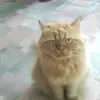 MARKIZONA - @markizona - TikTok