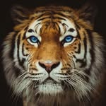 Mark - @mark.zurcher - Instagram