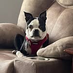 Mark Zweifel - @zweifelmark - Instagram
