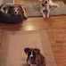 Mark Zweifel - Facebook