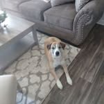 Mark Zwicker - @mark.zwicker.359 - Instagram
