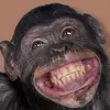 user2076011718726 - @markellovesu - TikTok