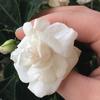 Markie_davis123 - @markie_davis123 - TikTok