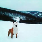 Marko Kocic - @marko.kocic.520562 - Instagram