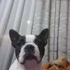 Marko Maric - @marko.maric91 - TikTok