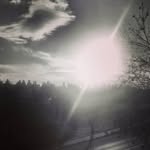 Markus Fox - @magik_fungus - Instagram