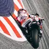 Markus Fox - @markus.fox7 - TikTok