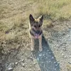 Markus Fox - @markus.fox4 - TikTok