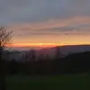 markusfox0 - @markusfox0 - TikTok