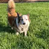 markus_hansen005 - @markus_hansen005 - TikTok