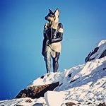 Markus Hartmann - @markus_hartmann_ - Instagram