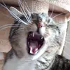 markushartmann89 - @markushartmann89 - TikTok