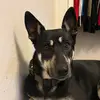 Markus Hayden - @markus.hayden4 - TikTok