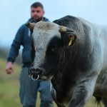 Markus Hess - @markus.hess.5895 - Instagram