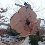Markus Hess - @waggel06 - Instagram