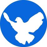 Markus Karl - @markus_karl - Instagram