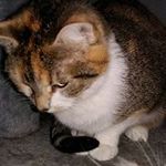 Markus Karl - @markus_karl_ - Instagram