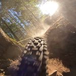 Markus Kohn - @ich_bin_ein_nasenbaer - Instagram