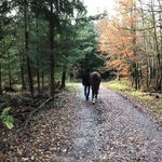 Markus Köhnlein - @markuskohnlein - Instagram
