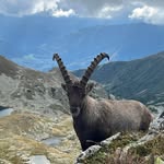 Markus Lehner - @markuslehner61 - Instagram