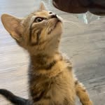 Markus Maxwell - @ocelot_space_invader - Instagram