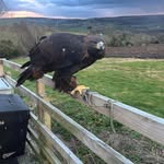Markus Millsy Mills - @markus_mills74 - Instagram