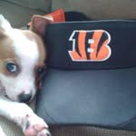 Markus Owens - @markus.owens.11 - Instagram