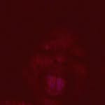 markusowens - @kingmarkus12 - Instagram