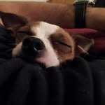 Markus Phillips - @markus.phillips.3 - Instagram