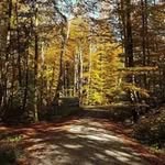 Markus Raab - @baarsukram_ - Instagram