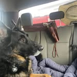 Markus Powell - @markus.ray.powell - Instagram