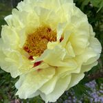 Markus Walker - @blumenhaus_wiedikon - Instagram