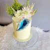 Markus Walker - @markus.walker4 - TikTok