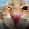 Markus_Woods - @userieyzp9t0ge - TikTok