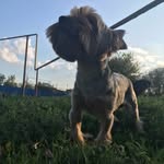 Маркус Йорк - @york_markus_ - Instagram