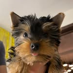 Markus - @york_markus.khv - Instagram