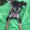 marlabeasleycox - @marlabeasleycox - TikTok