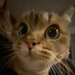Marla - @marla._.brandt - Instagram