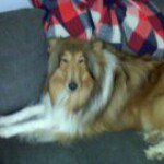 Marla Carlson - @carlsonmom7 - Instagram